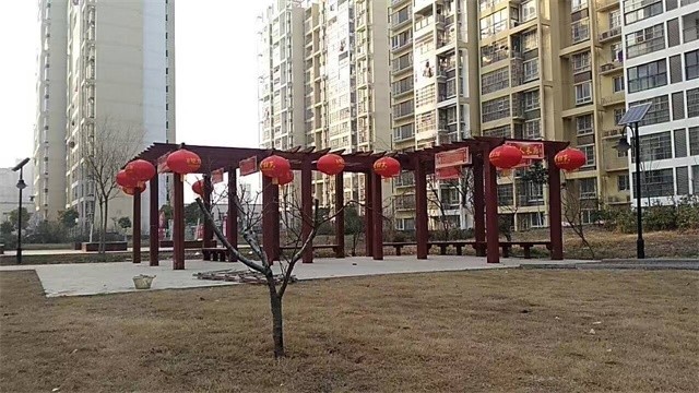 過年了 掛小區(qū)內(nèi)燈籠