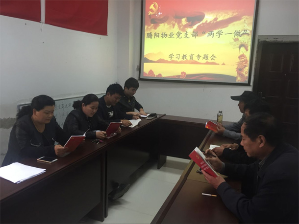 騰陽物業(yè)開展“兩學一做”學習教育專題會(圖3)